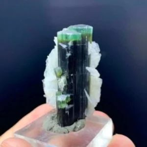 Green Cap Bi-Color Tourmaline Crystal From Afghanistan